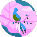 Cristina M.O. profile picture